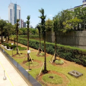 Empresa de jardinagem para empresas  em Centro Empresarial foto 10
