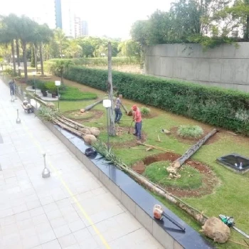 Empresa de jardinagem para empresas  em Centro Empresarial foto 11