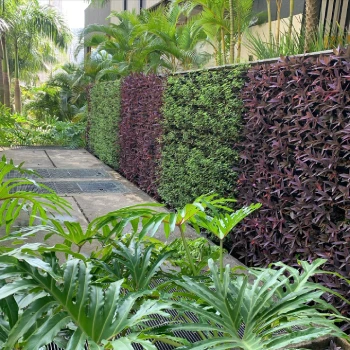 Empresa de jardinagem para empresas  em Centro Empresarial foto 12