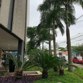 Empresa de jardinagem para empresas  em Centro Empresarial foto 13