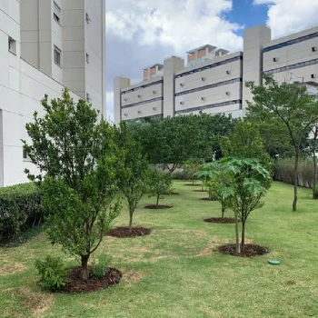 Empresa de jardinagem para empresas  em Centro Empresarial foto 14
