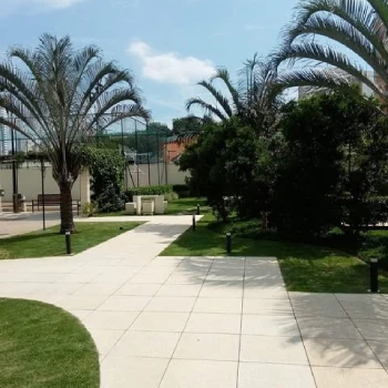 Empresa de jardinagem para empresas  em Centro Empresarial foto 15