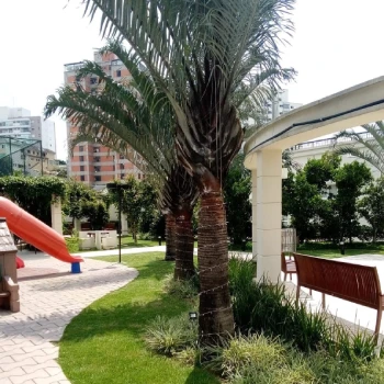 Empresa de jardinagem para empresas  em Centro Empresarial foto 16