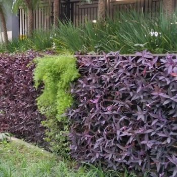 Empresa de jardinagem para empresas  em Centro Empresarial foto 22