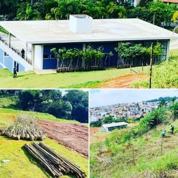Empresa de jardinagem para empresas  em Centro Empresarial foto 3