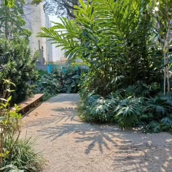 Empresa de jardinagem para empresas  em Centro Empresarial foto 5