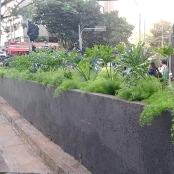 Empresa de jardinagem para empresas  em Centro Empresarial foto 8