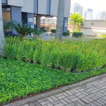 Empresa de jardinagem para empresas  em Centro Empresarial foto 9